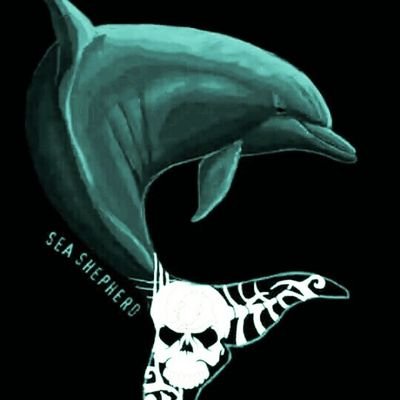 chicaZoe1's profile picture. 