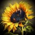 Tata Varanee (@tvaranee7086) Twitter profile photo Tata Varanee (@tvaranee7086) Twitter profile photo