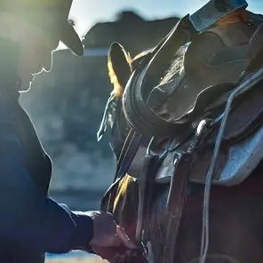 Dan_Schultejann's profile picture. 