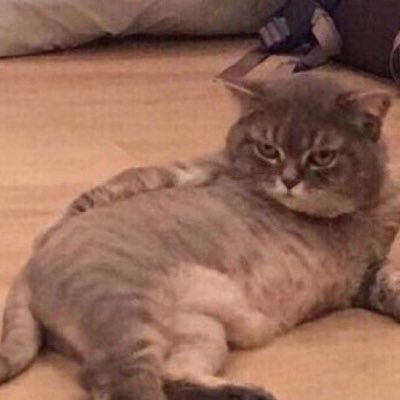 meowmeowkyu_'s profile picture. 