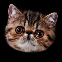 Eex (@hazardiwizardi) Twitter profile photo