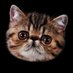Eex (@hazardiwizardi) Twitter profile photo Eex (@hazardiwizardi) Twitter profile photo