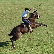 bilochus's profile picture. Un personaje que piensa…