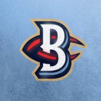 Southern Maryland Blue Crabs (@bluecrabs) Twitter profile photo