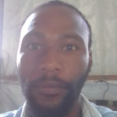 bruno1036955583's profile picture. 