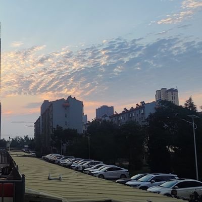 BuJiao5453's profile picture. 