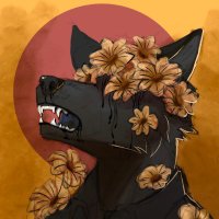 Mihael Darkov (@miheal69) 's Twitter Profile Photo Mihael Darkov (@miheal69) 's Twitter Profile Photo