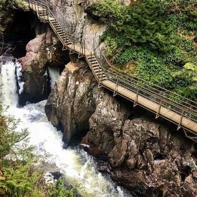 learn_with_vic's profile picture. An educationist.