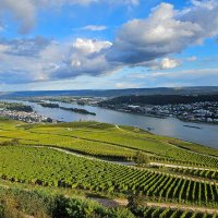 AnotherdayanotherPenny (@readyandwill) 's Twitter Profile