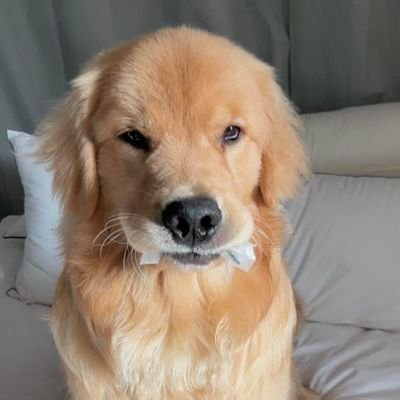 daenam0919's profile picture. 특전사  근무중 KARA/95년생/팔로하시고멘션주시면 맞팔로우합니다/Tymee/DOZ/Wa$$up/I like 홍대