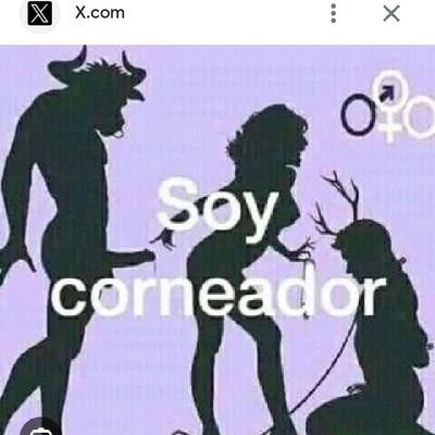 BullCorneador01's profile picture. Dedicado a satisfacer novias, esposas de México sur principalmente.
puedes compartirnos historias, fotos y videos