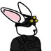WHITE RABBIT (@whiter34804) Twitter profile photo WHITE RABBIT (@whiter34804) Twitter profile photo