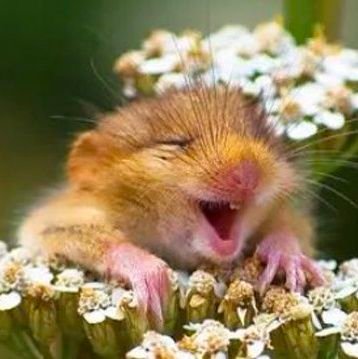 UiOi254292's profile picture. 