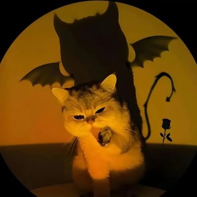 khedir_m74127's profile picture. 