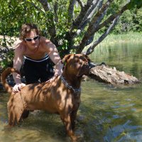 Darcy Sharpe (@darcy_sharpe) Twitter profile photo