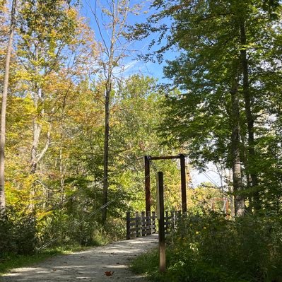 __rinn___'s profile picture. 