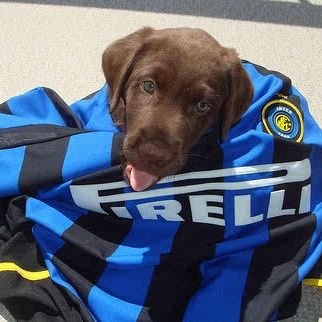 interhabs's profile picture. 