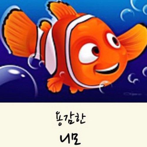좋아하는것 동물 그림 영화 음악 커피 맛있는 빵 가치를 둘수 있는 소소한것 교대 근무의 피곤함을 아는 사람 시끄러울때엔 같이 시끄럽고 평소엔 조용한 사람 매니쉬룩이 어울리는 예쁜여자