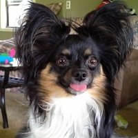 Holly5747 (@holly5747) 's Twitter Profile