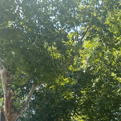 Eternitycyh's profile picture. 🇭🇰人，，喜欢交朋友，make friend！！加其他联系方式要筛选哦，咱也不是公狗，什么人都加好吧