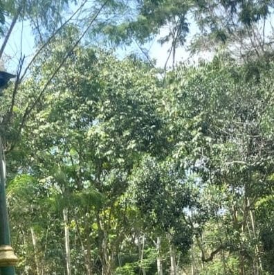 Aweirdos2's profile picture. N. 22 years | Male | He/Him, 163cm | 63kg | 15cm.   🔞

I'm interested in: Femboy, chubby woman, slightly Hairy pussy.