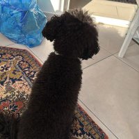 aslihan (@nimlias) Twitter profile photo