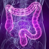 Functional Bowel Disease CNS Team ULHT (@functionalbowel) 's Twitter Profile