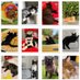 Mischief & Mayhem! Hannah’s fur family 🥰 (@mfamily36686) Twitter profile photo Mischief & Mayhem! Hannah’s fur family 🥰 (@mfamily36686) Twitter profile photo