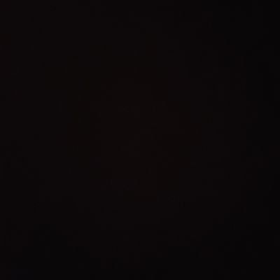 LapinNoirReji's profile picture. :^