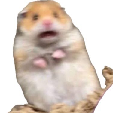 mina___xo's profile picture. 