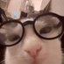 Konmooo (@konmo44) Twitter profile photo Konmooo (@konmo44) Twitter profile photo