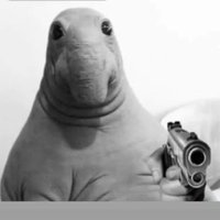 Slakevin10 (@kevin124680gg) 's Twitter Profile