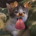 khaw၄၃ (@kultidazx) Twitter profile photo khaw၄၃ (@kultidazx) Twitter profile photo