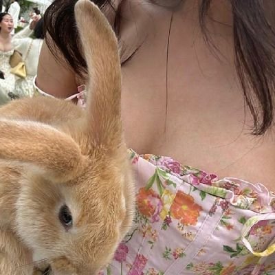 — hello sweet little bunny. 🐇🤍 — agere/petre/sfw only! — dm me! let's be close ♡