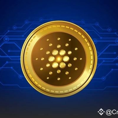 Diinaari994's profile picture. 