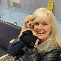 Linda (@linnieljcme) 's Twitter Profile Photo Linda (@linnieljcme) 's Twitter Profile Photo