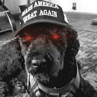 Dark_MAGA_Gainz🇺🇸 (@killyourego2020) 's Twitter Profile