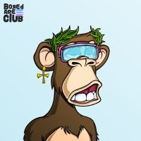 ᗰᗩᒍE 🐨 (@swissmaje) 's Twitter Profile Photo ᗰᗩᒍE 🐨 (@swissmaje) 's Twitter Profile Photo