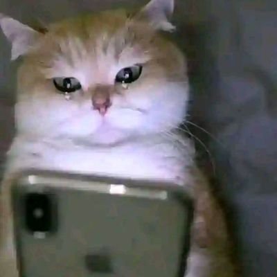 phairyboyy's profile picture. imolite
he/him
just dm