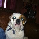 Kerry Hensley - @kerryhensley - Twitter