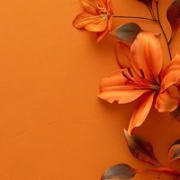 هناء الشمراني (@hanaa0al) 's Twitter Profile