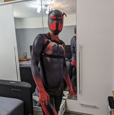 new pup 🙂 looking for new pup friends,
luv underwear and bulges 😜
dm is always open
@undiepup.bsky.social