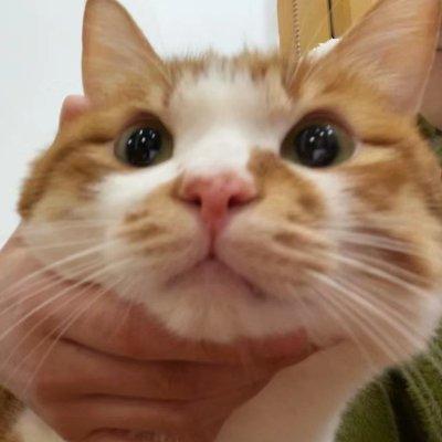 没有妹妹头さんのプロフィール画像