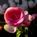Feride Yıldız (@feride_y3434) Twitter profile photo Feride Yıldız (@feride_y3434) Twitter profile photo