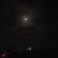 gaza.p 🇵🇸🔻 (@bobharbgaza) Twitter profile photo