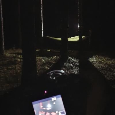 harpia0101's profile picture. 