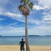 71Kotaro (@kota71ro71) 's Twitter Profile