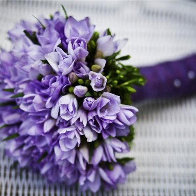 Chizuru20348's profile picture. 副業で収入を増やすコツを発信中。副業を始めたい人に役立つ情報を提供。ほんの僅かですが現金給付企画も実施中♬ なくなり次第終了→ https://t.co/MuiynsAxWA