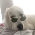 Harry (@_harryfisherman) Twitter profile photo Harry (@_harryfisherman) Twitter profile photo