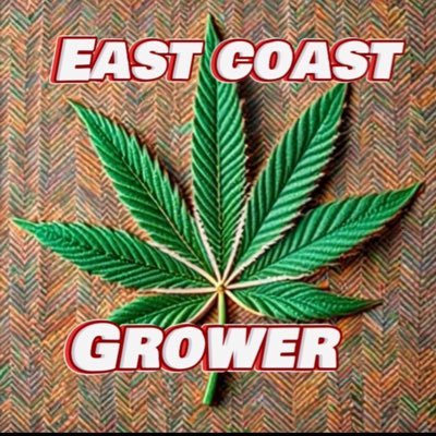 just a crypto trader and home grower from mass. proud father of two princesses and one king!!